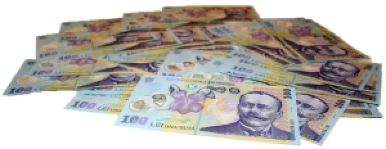 Guvernul Boc: Bugetarii pot cumula pensia si salariul doar daca pensia este mai mica decat salariul mediu brut pe economie