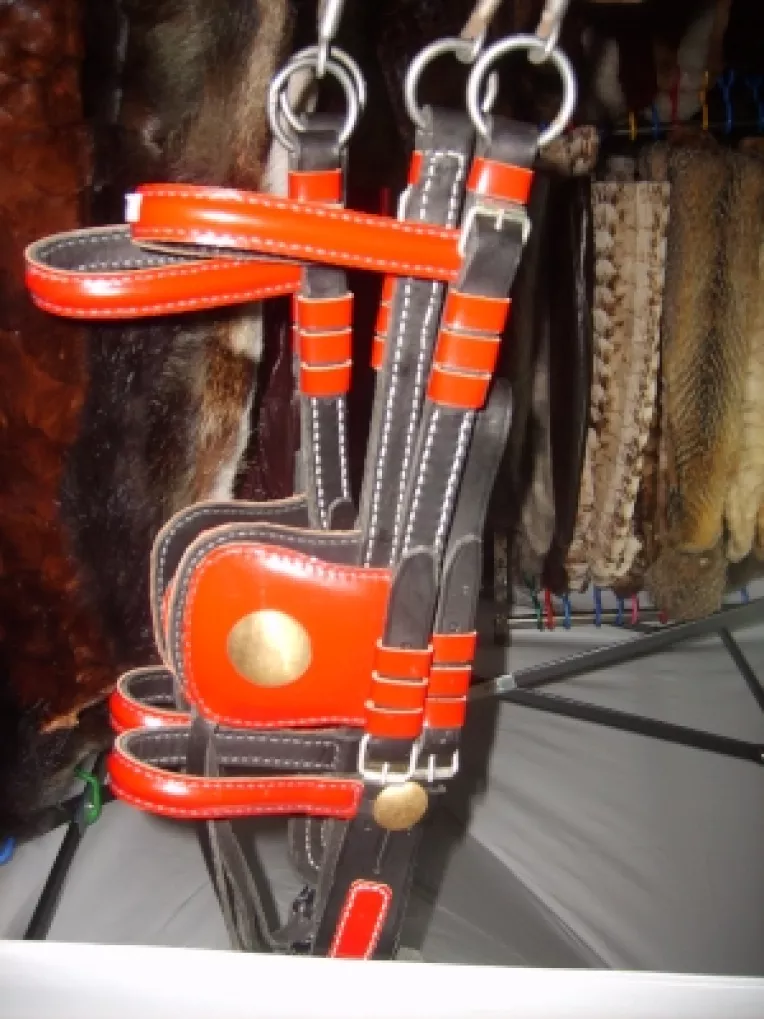 Hamuri de Braila, facute de Chiriac Alecu, la targul din Parcul Cismigiu