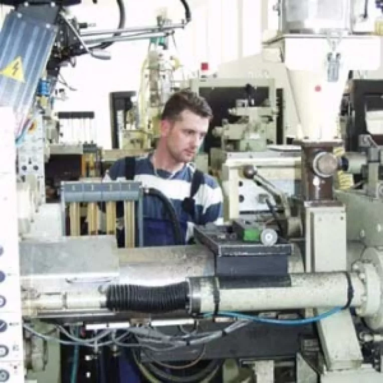 IMM-urile, o specie pe cale de disparitie
