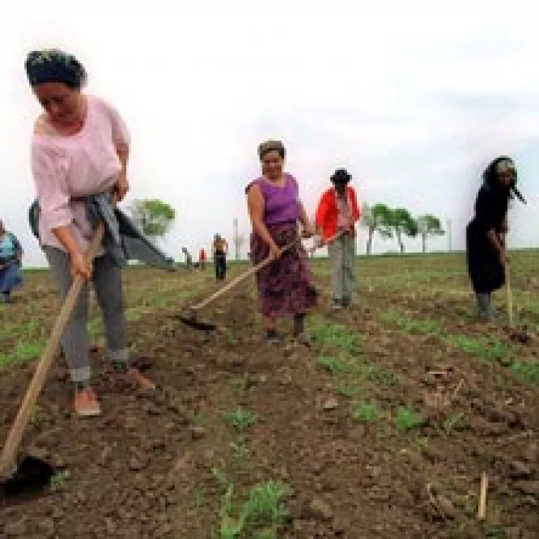 Impozitele pe terenurile agricole amendeaza noul Cod Fiscal