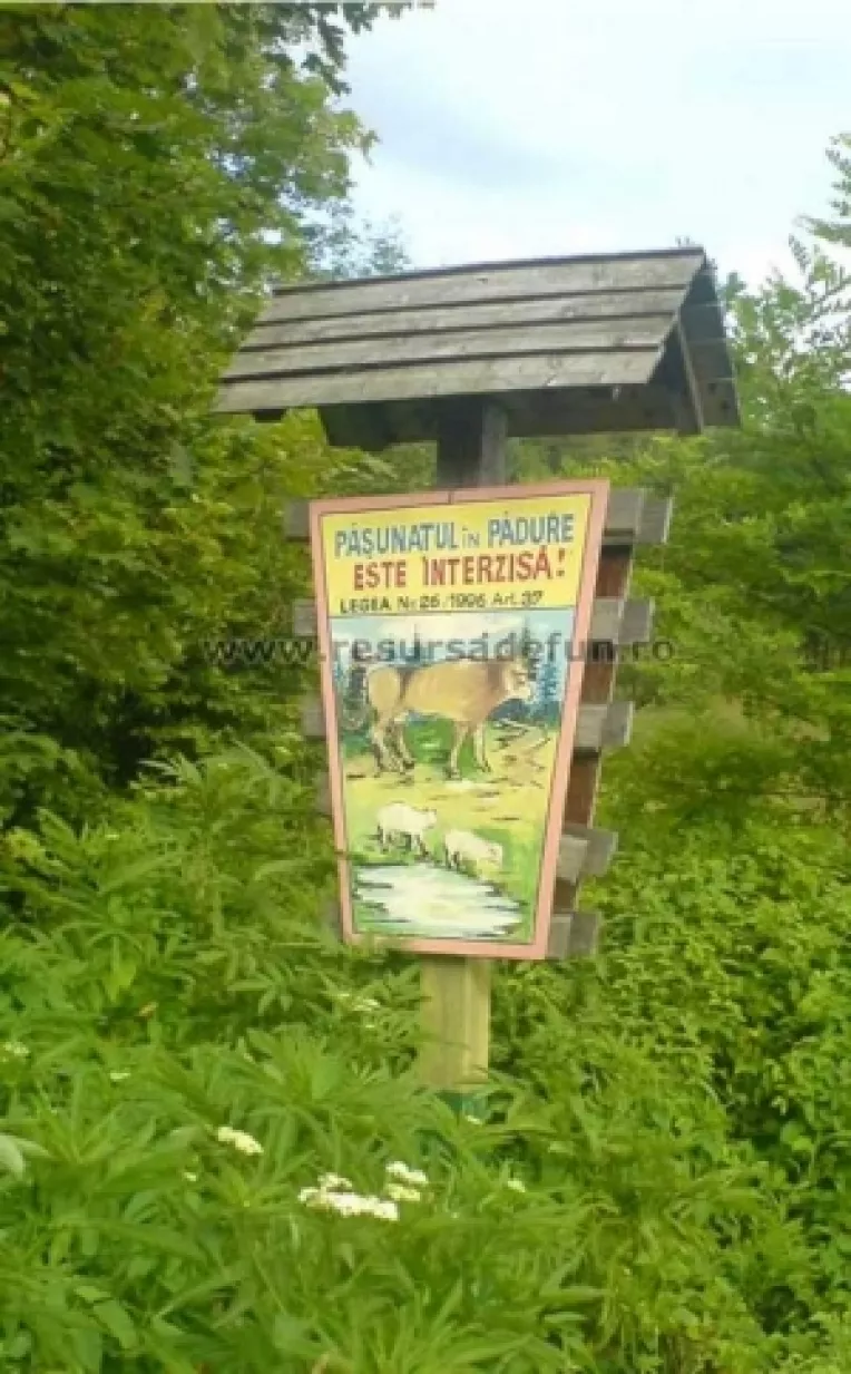 In 2008, Romsilva investeste in terenuri si autoturisme