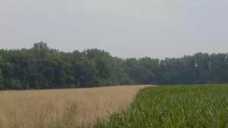 Incepe pregatirea pentru obtinerea subventiilor UE. Banii europeni vin in cont