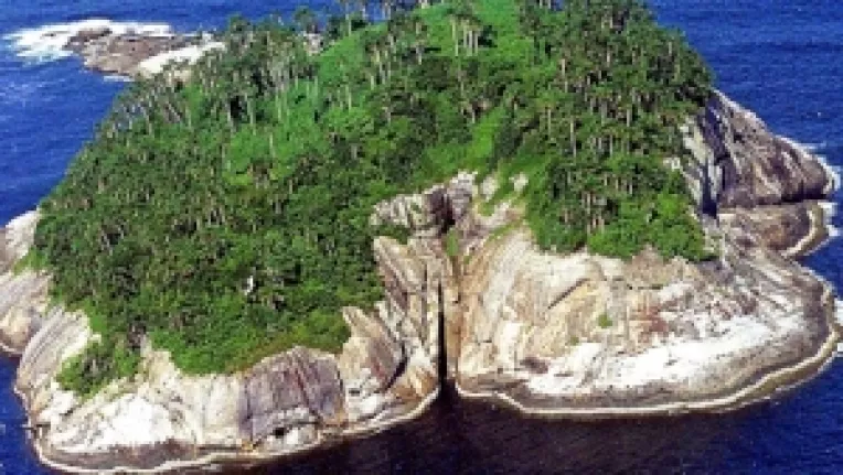 Insula Ilha de Queimada Grande, renumita pentru povestile ei infricosatoare