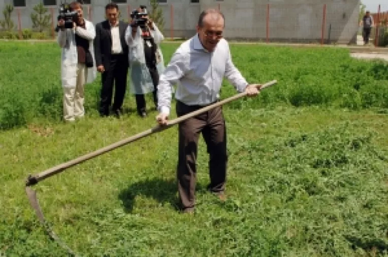 Interviu cu Valeriu Stoica (3): "Daca guvernul Boc nu performeaza, relansarea PDL va fi foarte dificila "