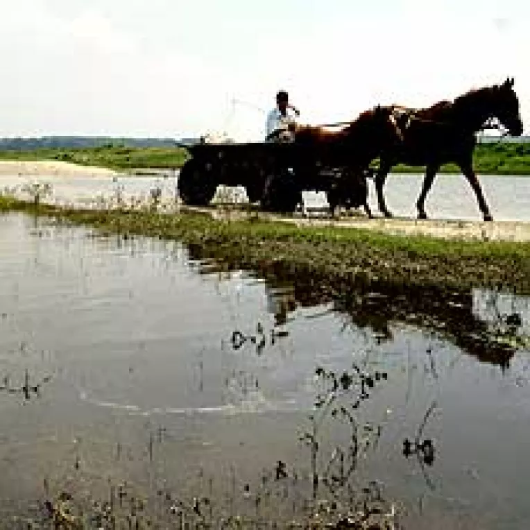 Inundatiile ieftinesc terenurile din jurul Capitalei cu pÃ¢na la 20%
