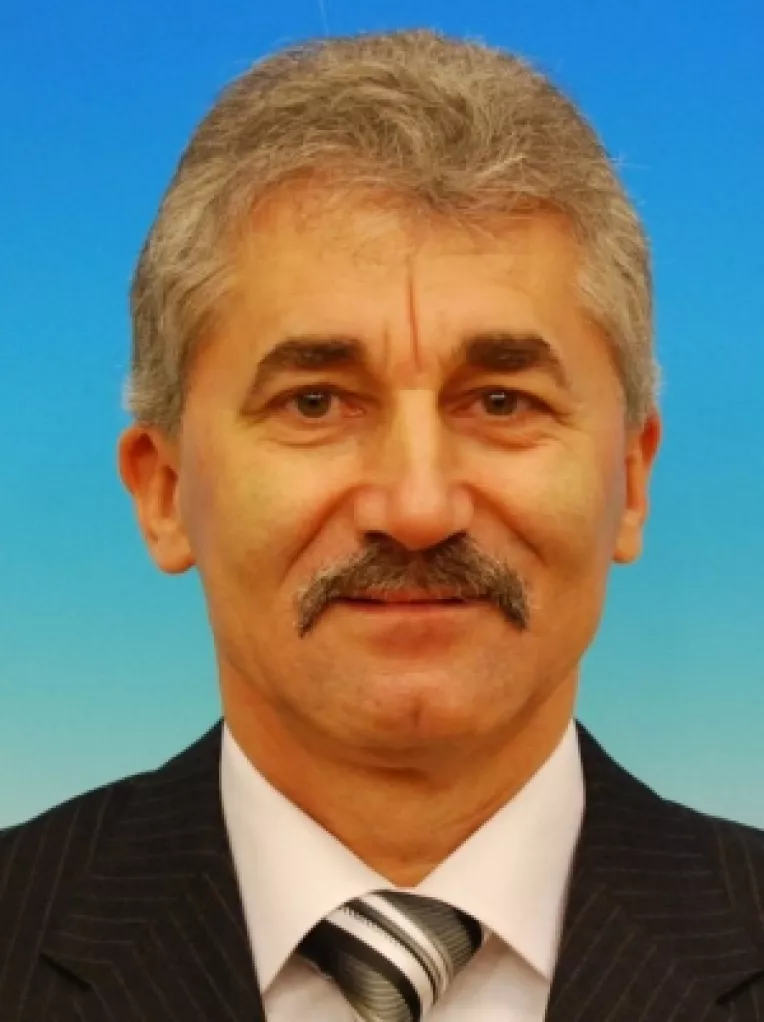 Ioan Oltean: Uninominal la BPN al PD-L si un singur inlocuitor al presedintelui