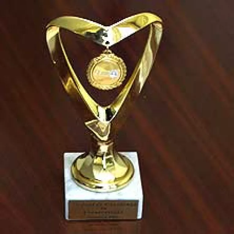 Ioan si Viorel Micula au primit Trofeul de Excelenta in afaceri