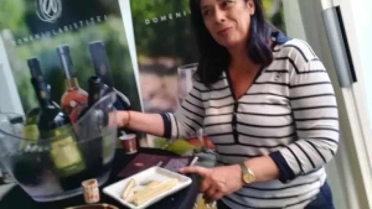 Ionita Aristita Adina detine Domeniul Aristitei