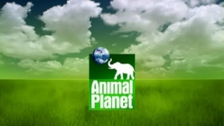 it.bzi.ro : UPC a anuntat ca va difuza televiziunea Animal Planet HD, in premiera, in Romania