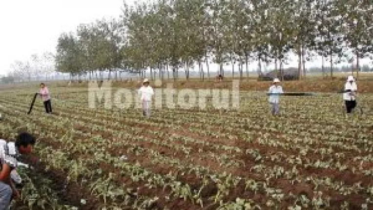 Italienii sondeaza piata de munca galateana