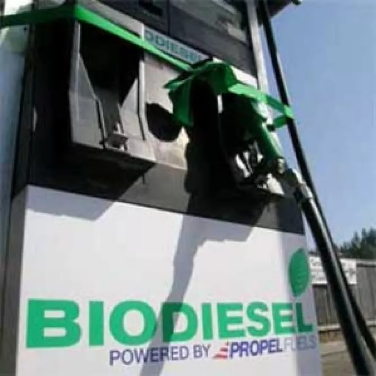La pompe, doar motorina cu biodiesel
