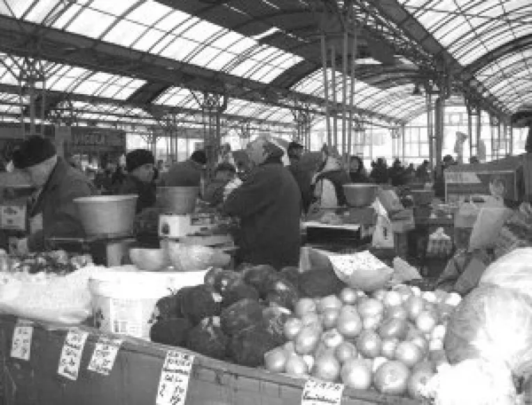 Legumele proaspete vor fi comercializate dupa norme UE