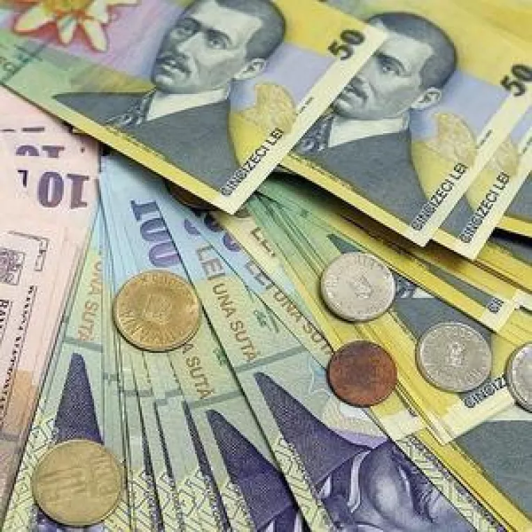 Leul castiga teren in fata euro