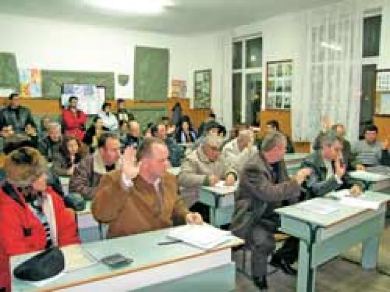 Liberalii asteapta de 8 luni sa le fie validat un consilier