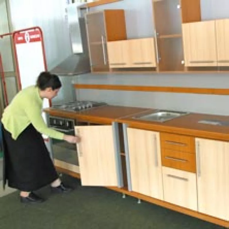 Liberalizarea pretului la lemn va scumpi mobila