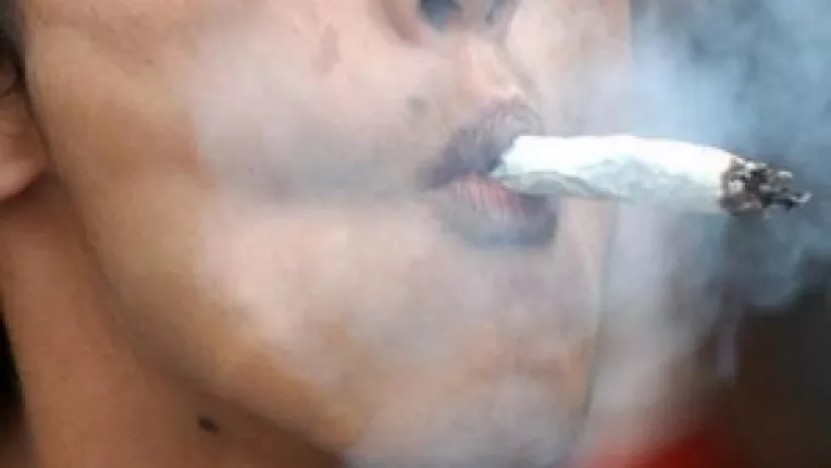 Litoral: Magazine de vise, suspendate timp de 3 luni