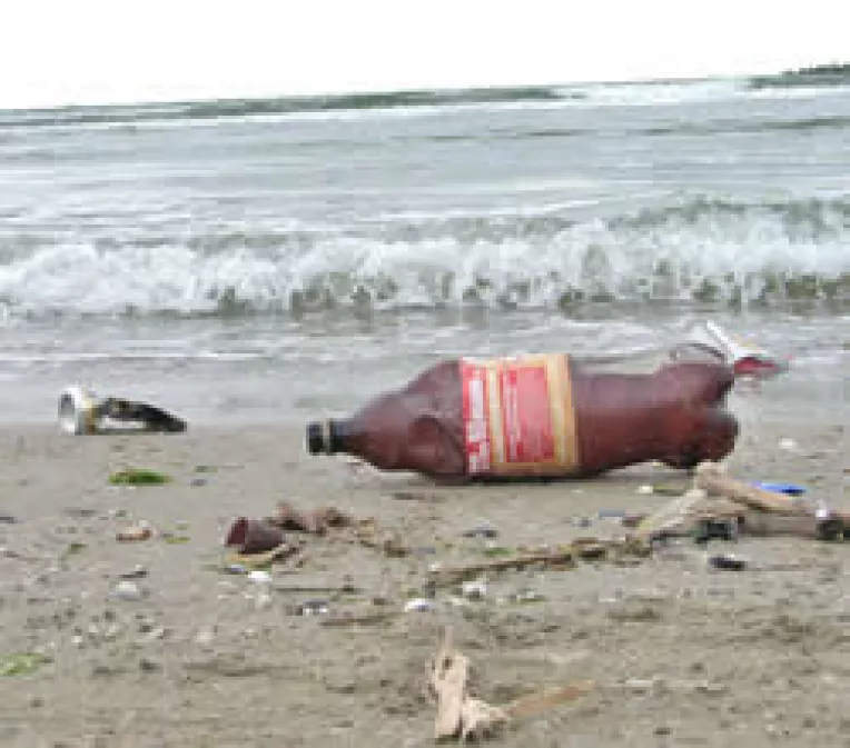 Manafu o considera pe Sulfina Barbu papagal, iar pe noi ne crede prosti