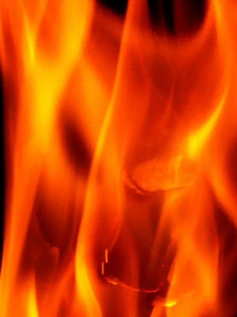 Marioneta Emil Boc: Protestatarii i-au dat foc