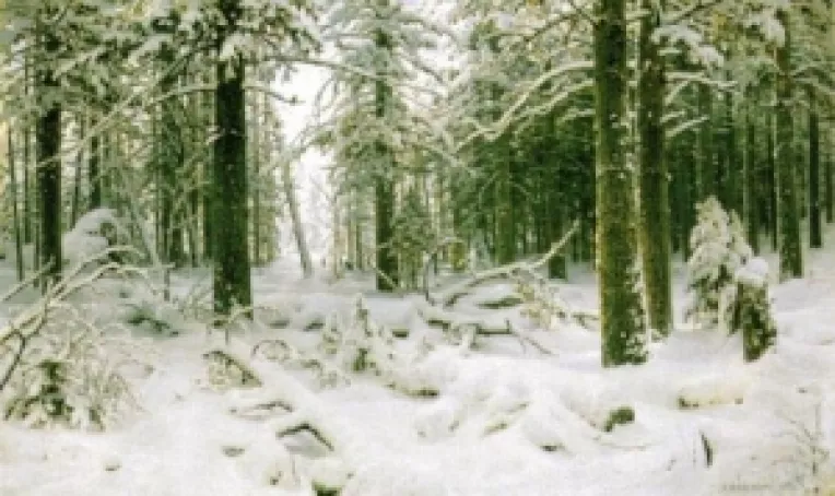 Marius Tuca (Jurnalul National): Prima zi a anului din noi