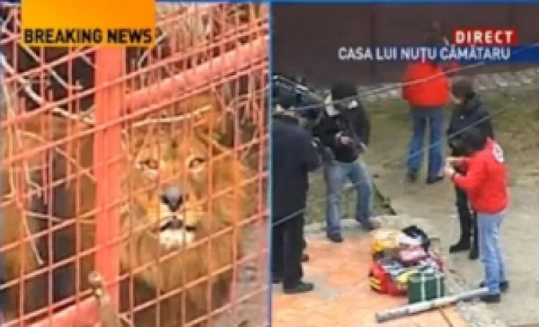 Mascarada leilor din curtea Camatarilor mascheaza scandalul de la CSM