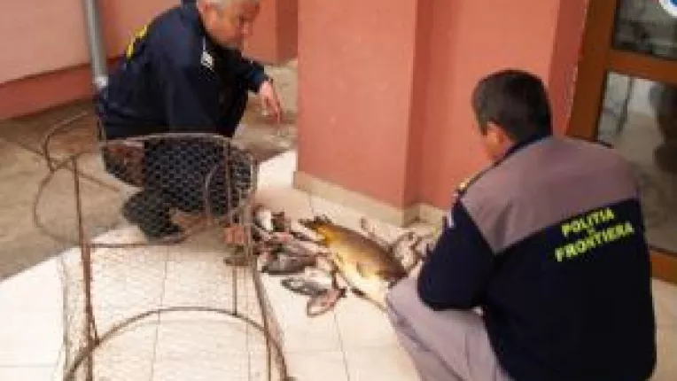 Mehedinti: Braconier prins cu foc de arma