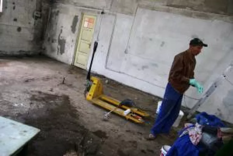 Mieii, sacrificati in spatii insalubre