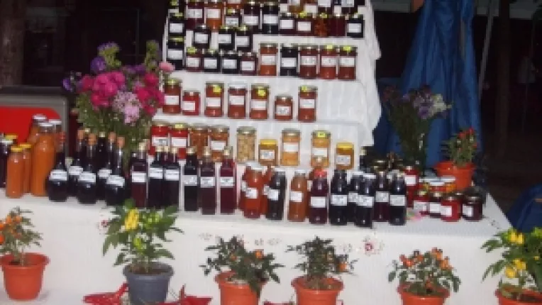 Mihaela Enache: "Dulceata de pepene galben cu ghimbir, la targul Piata Taraneasca si Mester(Esti)!"