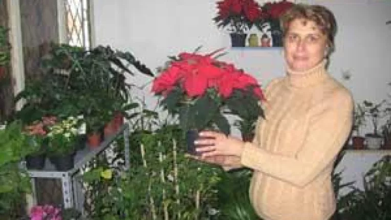 Mii de euro din comertul cu flori