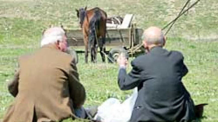 Ministerul Agriculturii nu poate acoperi in totalitate cererile unitatilor fitosanitare