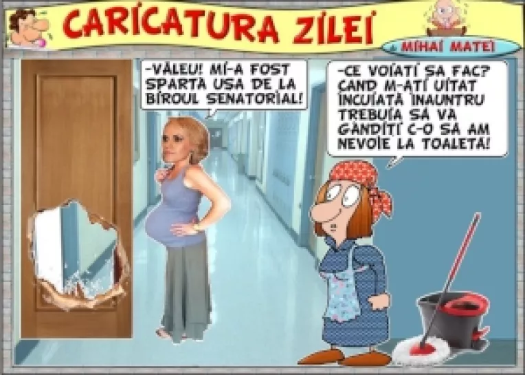 Misterul geamului spart de la usa d-nei Gabriela Firea a fost dezlegat de femeia de serviciu