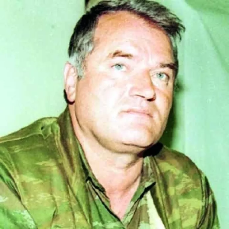 Mladici, dorit de Vladimir Vukcevici