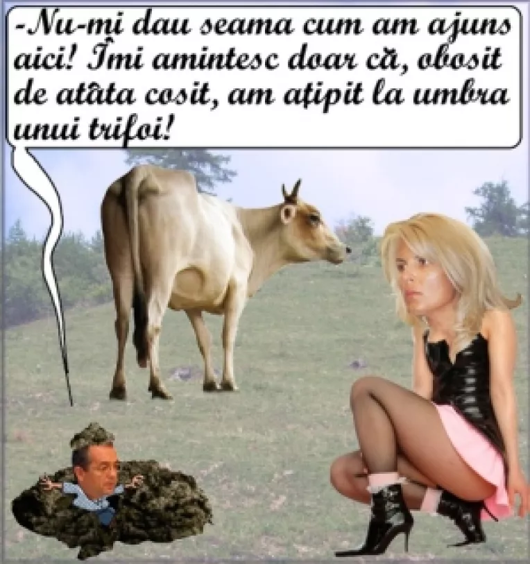 Motiune de cenzura (4): Prima eroare politica: cine stabileste care este "solutia corecta"?