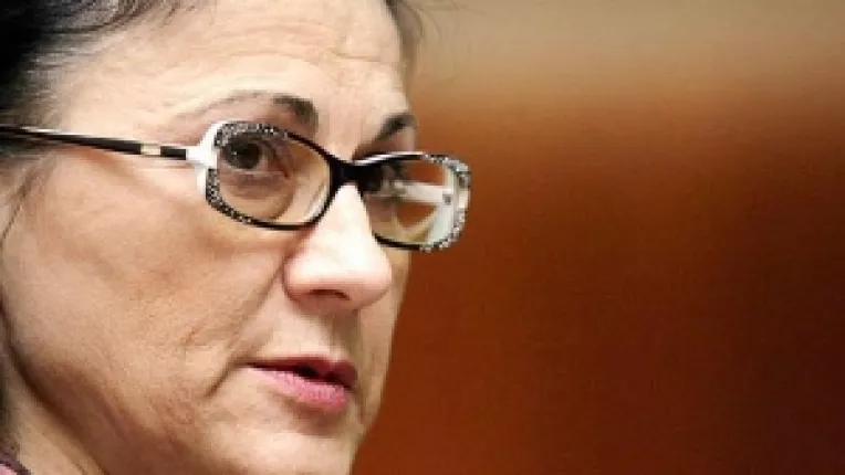 Motiunea PNL va fi dezbatuta pe 27 aprilie