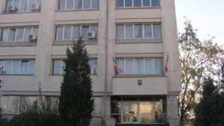 Municipiile vor procent din incasarile Distrigaz si Electrica