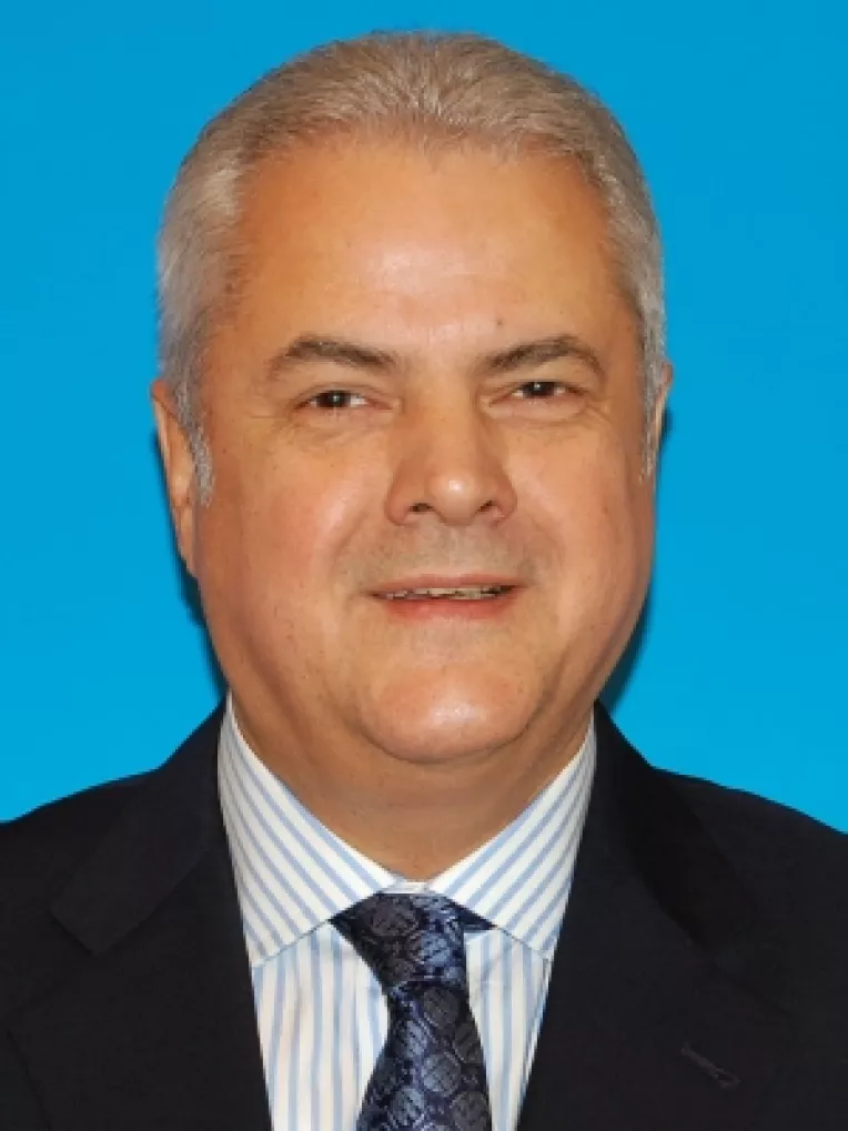 Nastase:  "Problemele din Coalitie sunt generate de faptul ca cele doua partide aflate la guvernare au candidati diferiti pentru prezidentiale"