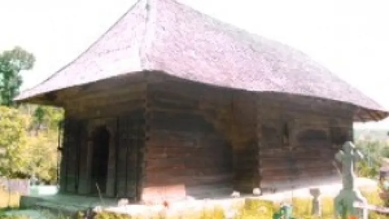 Nevoi si asteptari ale locuitorilor din comuna vasluiana Puiesti 