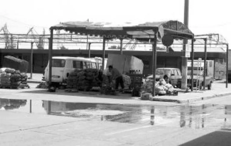 O bila alba si una neagra