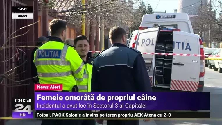 O femeie din Bucuresti a fost omorata de un caine pe care voia sa-l hraneasca