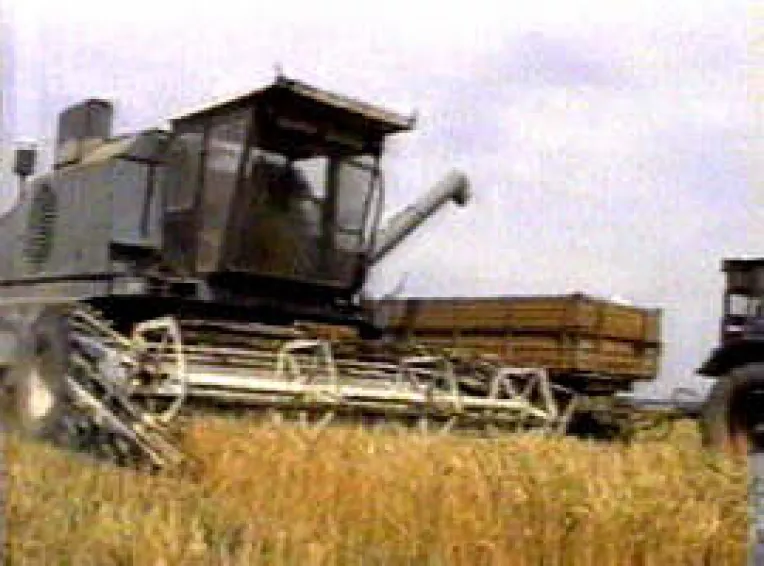 O recolta bogata ar putea scadea inflatia