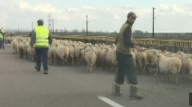O turma de oi, pe Autostrada Soarelui