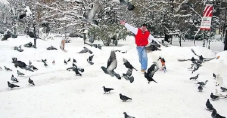 Oameni si porumbei, zgribuliti de frig, intram in 2015