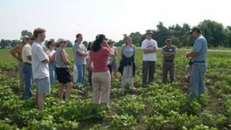 Oltenii s-au asociat in grupuri de producatori
