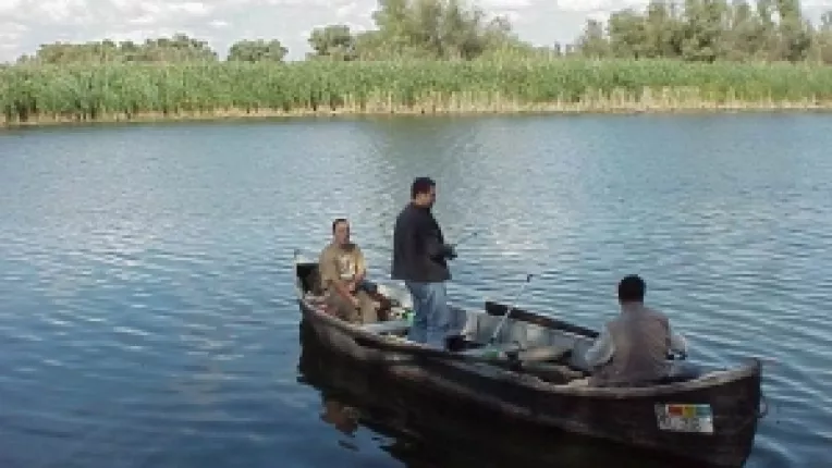 Organizatiile pescaresti, recunoscute doar daca realizeaza o productie de minimum 300 de tone