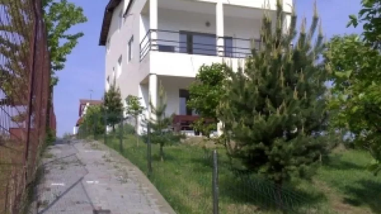 Padurile, distruse de cartierele de vile si drumurile nationale  
