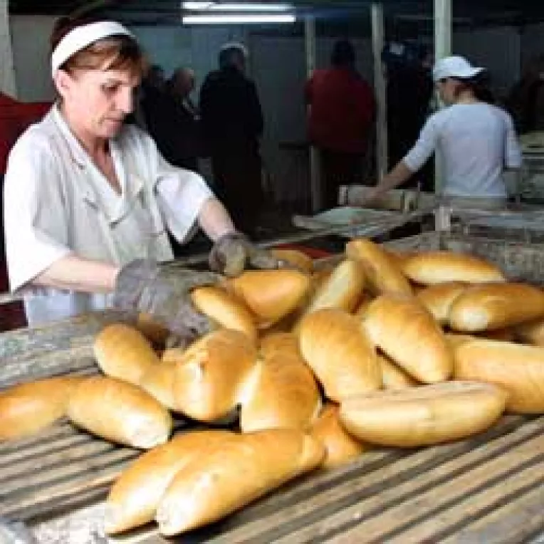 Painea s-a scumpit cu 50% in Buzau, Vrancea si Bacau