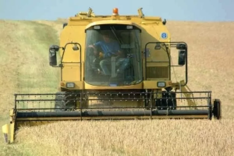 Panificatia la mana samsarilor
40 % din tranzactiile cu cereale se fac pe piata neagra