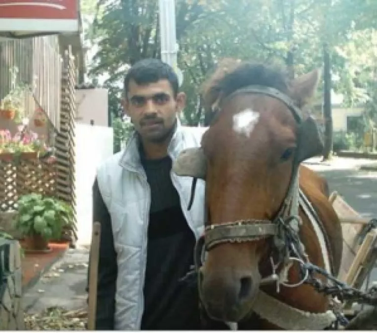 Pasapoarte pentru cai pana in vara lui 2008