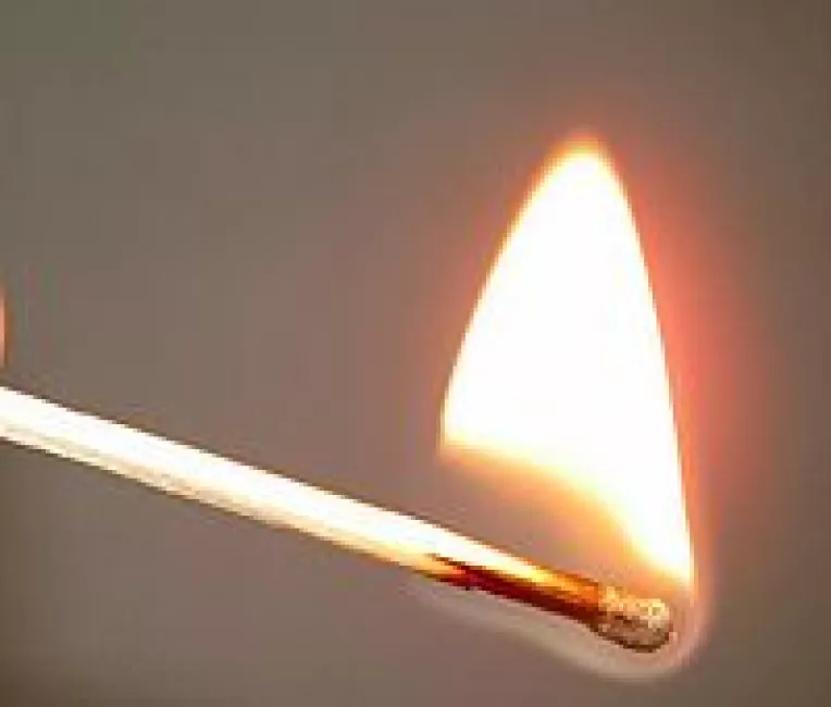 PD-L: Cezar Preda se joaca cu focul