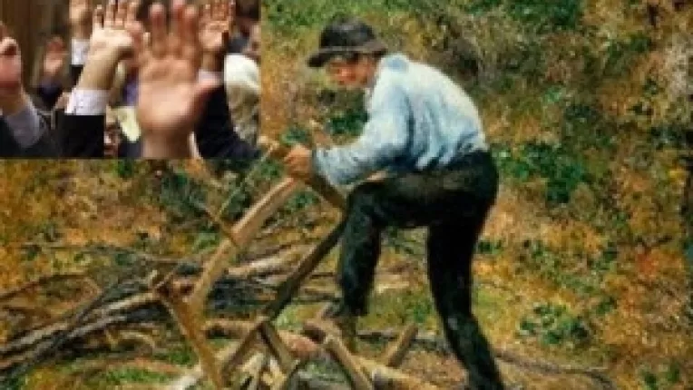 PDL se faleste pe siteul de la Senat cu adoptarea unei initiative legislative a PSD!