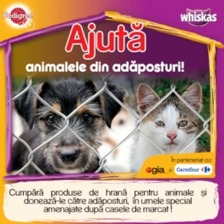 Pedigree si Whiskas impreuna cu Carrefour ajuta cainii si pisicile fara stapan din adaposturile din Romania